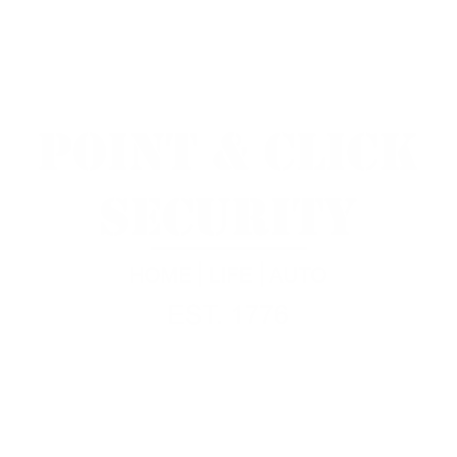 POINT & CLICK SECURITY